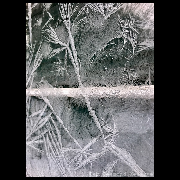 ice on cold maine morning window pane