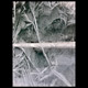 ice on cold maine glass window pane