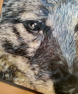 dog photograph with encaustic wax