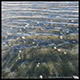 long tidal pull of ocean water over sand